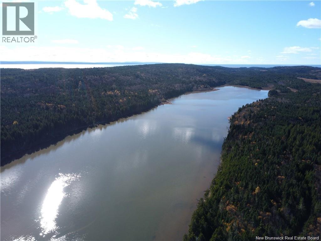 Lot Lockhart Lake, New Horton, New Brunswick E4H 1W3 - Photo 10 - NB132993