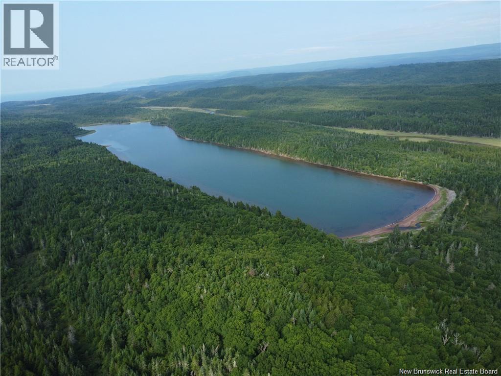 Lot Lockhart Lake, New Horton, New Brunswick E4H 1W3 - Photo 19 - NB132993