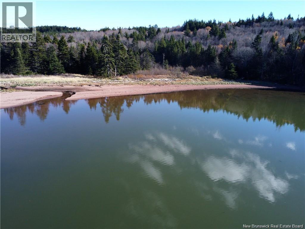 Lot Lockhart Lake, New Horton, New Brunswick E4H 1W3 - Photo 7 - NB132993
