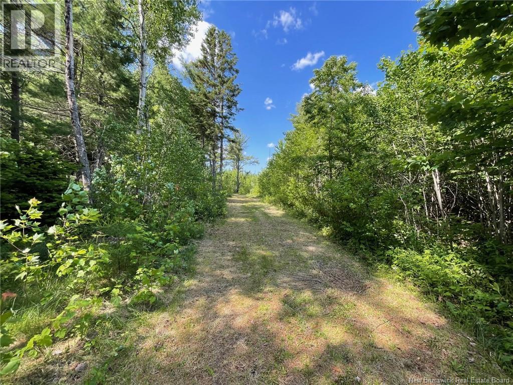 Route 11, Saint Margarets, New Brunswick