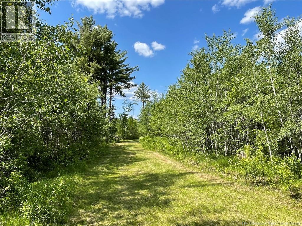 Route 11, Saint Margarets, New Brunswick  E1N 5C5 - Photo 4 - NB132973