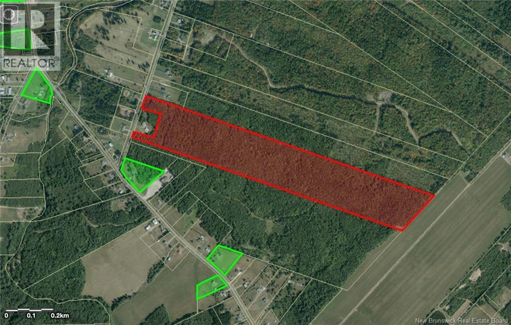 Lot Ouellette Road, Haute-Aboujagane, New Brunswick  E4P 5P2 - Photo 4 - NB132935