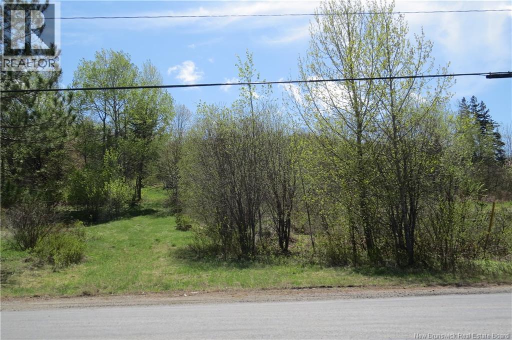 29 2nd Avenue, Napadogan, New Brunswick E6B 1Y5 - Photo 3 - NB133148