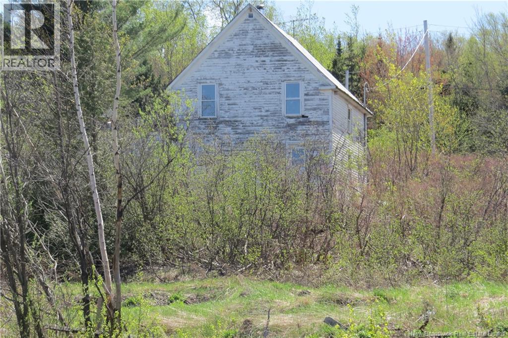 29 2nd Avenue, Napadogan, New Brunswick E6B 1Y5 - Photo 4 - NB133148