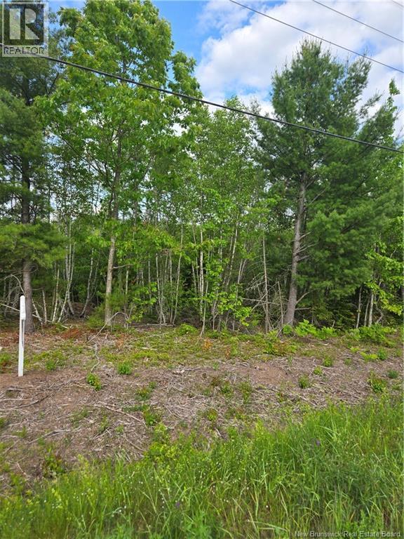 Lot 09-15 Route 105, Jemseg, New Brunswick  E4C 3K7 - Photo 2 - NB133160