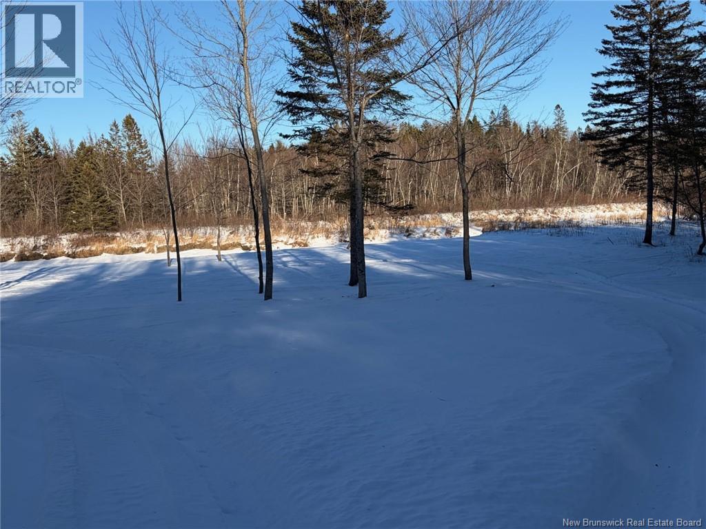 005 Reardon Road, Elmsville, New Brunswick  E5A 0B6 - Photo 3 - NB133275