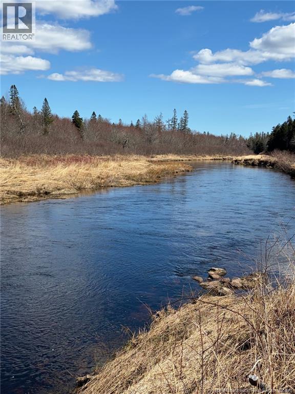 00-2 Reardon Road, Elmsville, New Brunswick  E5A 0B5 - Photo 3 - NB133269