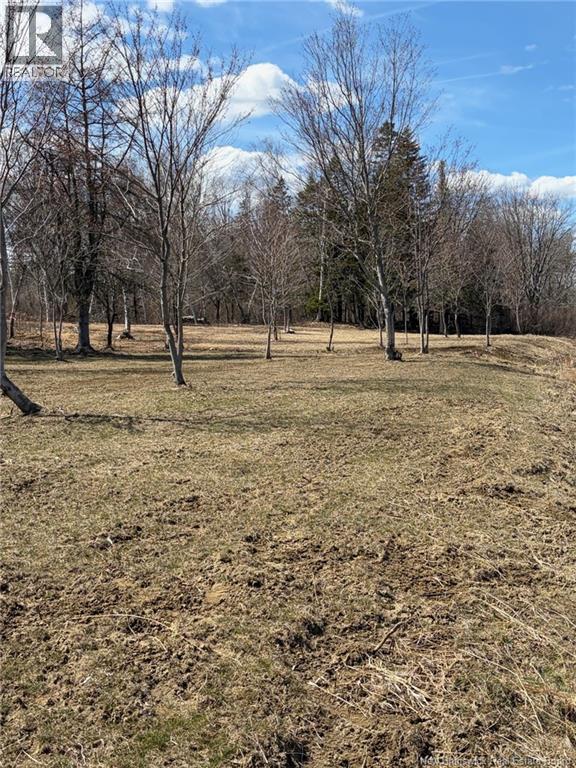 00-2 Reardon Road, Elmsville, New Brunswick  E5A 0B5 - Photo 7 - NB133269
