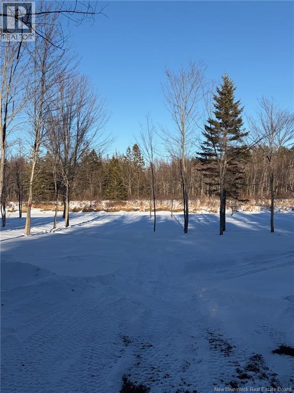 00-1 Reardon Road, Elmsville, New Brunswick  E5A 0B6 - Photo 3 - NB133282