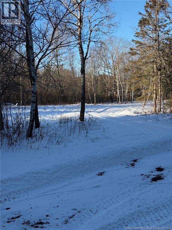 00-1 Reardon Road, Elmsville, New Brunswick  E5A 0B6 - Photo 5 - NB133282