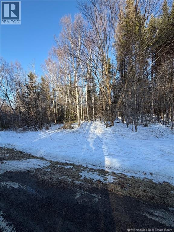 00-1 Reardon Road, Elmsville, New Brunswick  E5A 0B6 - Photo 7 - NB133282