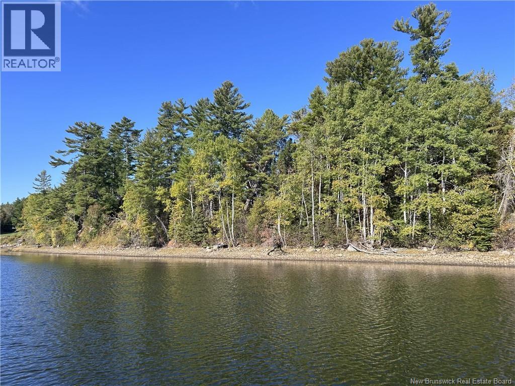 6.58 Acres Route 108, Derby Junction, New Brunswick  E1V 5J1 - Photo 9 - NB133303