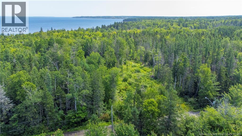 Lot Pinet Street, Caraquet, New Brunswick  E1W 1B1 - Photo 6 - NB133348