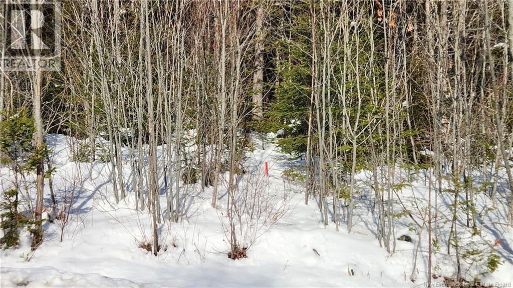 128 Highland Road, Grand Bay-Westfield, New Brunswick  E5K 1H8 - Photo 4 - NB133345