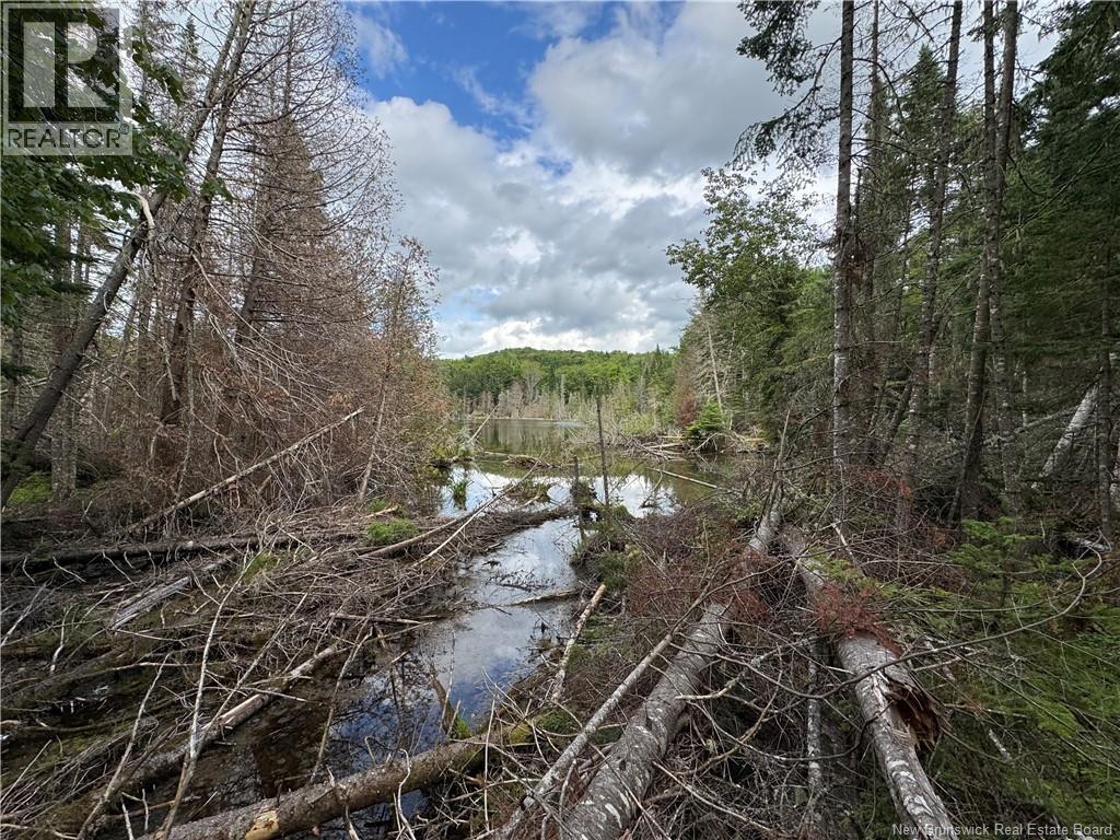Lot 0 Route 380, Bell Grove, New Brunswick  E7G 4E3 - Photo 11 - NB133340