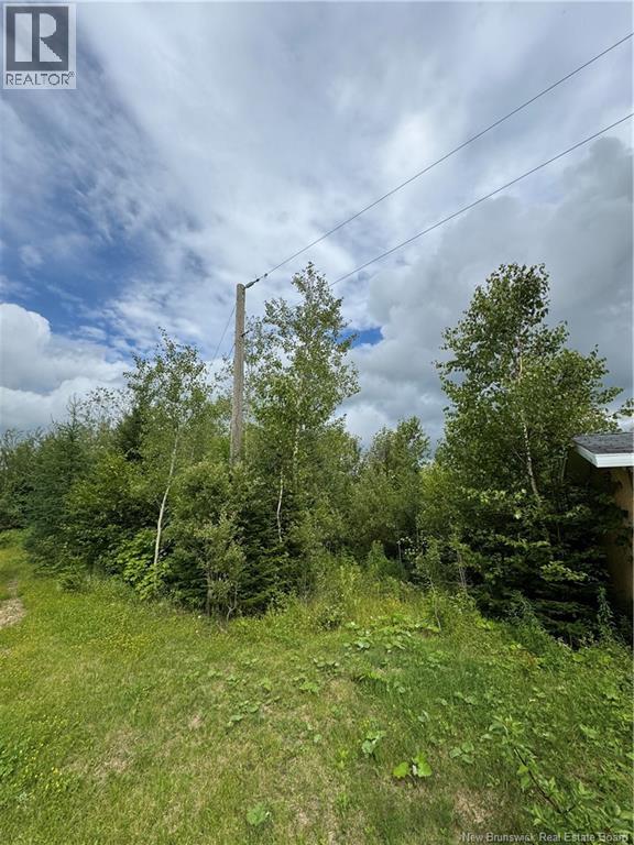 Lot 0 Route 380, Bell Grove, New Brunswick  E7G 4E3 - Photo 12 - NB133340