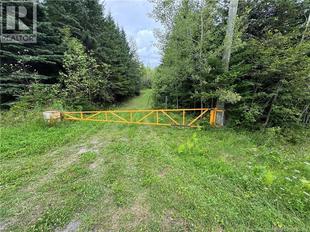 Lot 0 Route 380, Bell Grove, New Brunswick  E7G 4E3 - Photo 2 - NB133340