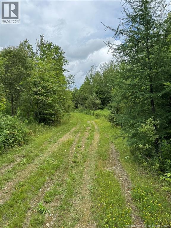Lot 0 Route 380, Bell Grove, New Brunswick  E7G 4E3 - Photo 6 - NB133340