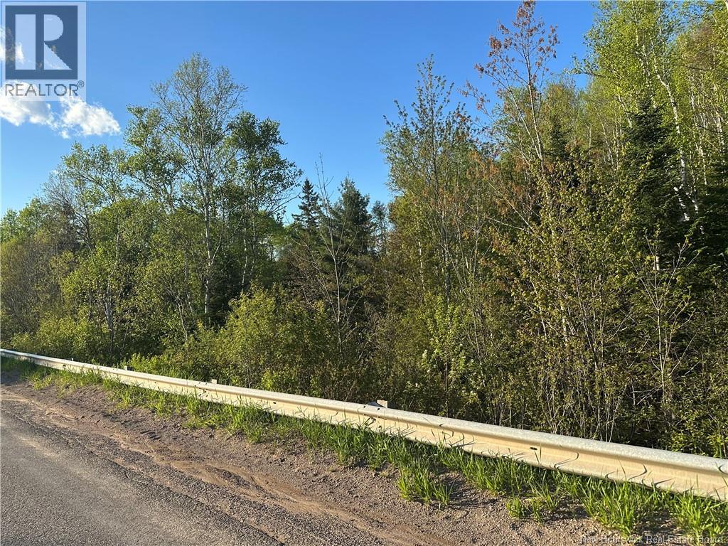 Highfield Road, Pearsonville, New Brunswick  E5P 1T2 - Photo 3 - NB133385