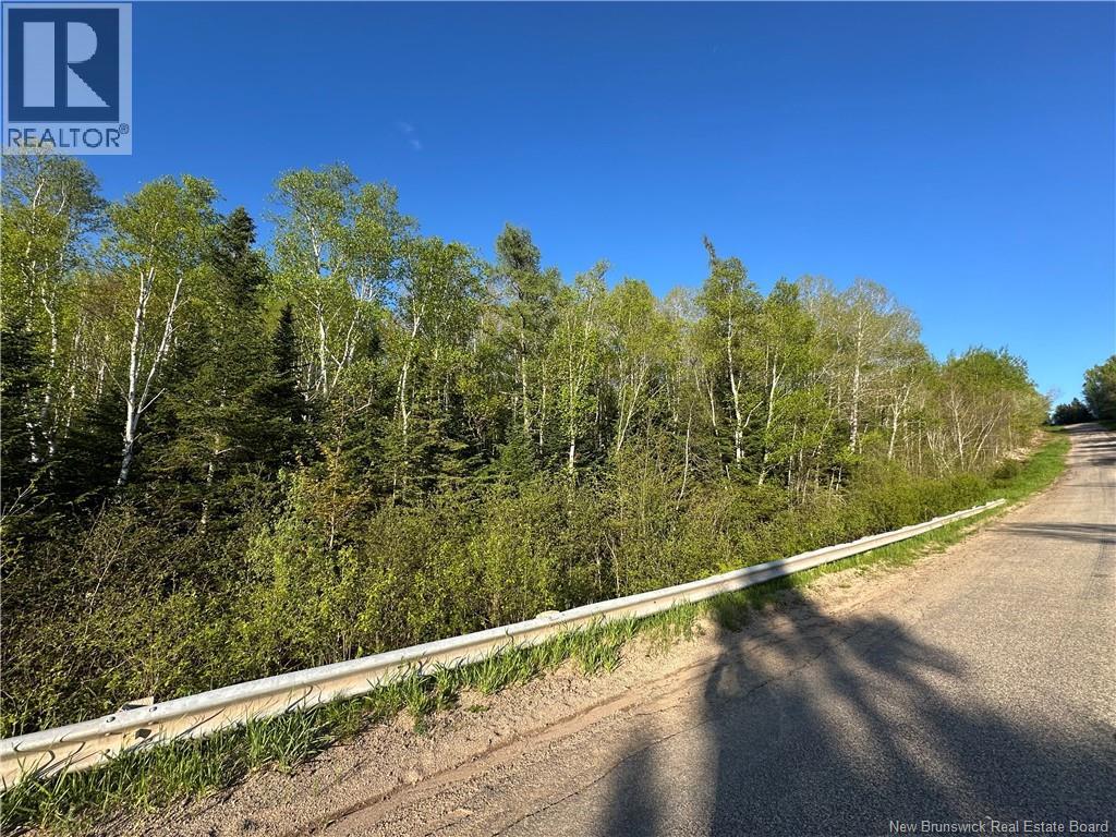 Highfield Road, Pearsonville, New Brunswick  E5P 1T2 - Photo 4 - NB133385