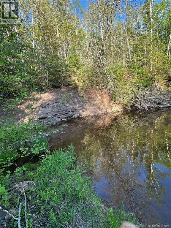 Highfield Road, Pearsonville, New Brunswick  E5P 1T2 - Photo 8 - NB133385