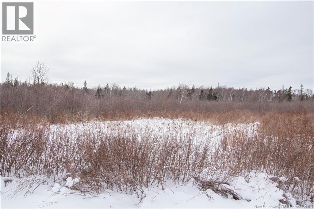 Lot Collins Lake Road, Shemogue, New Brunswick  E4N 2M5 - Photo 2 - NB133414