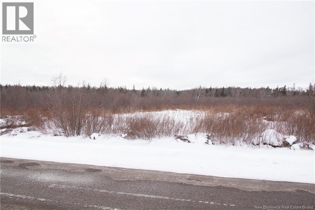 Lot Collins Lake Road, Shemogue, New Brunswick  E4N 2M5 - Photo 9 - NB133414
