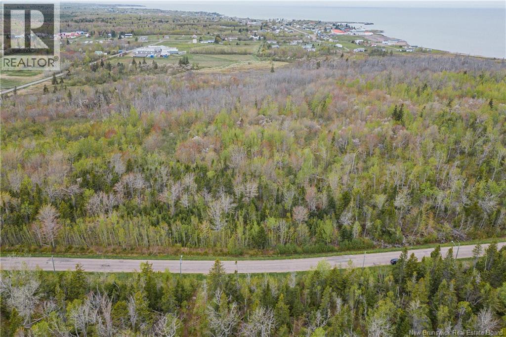 Lot Galmar, Petit-Cap, New Brunswick  E4N 2G6 - Photo 3 - NB133389