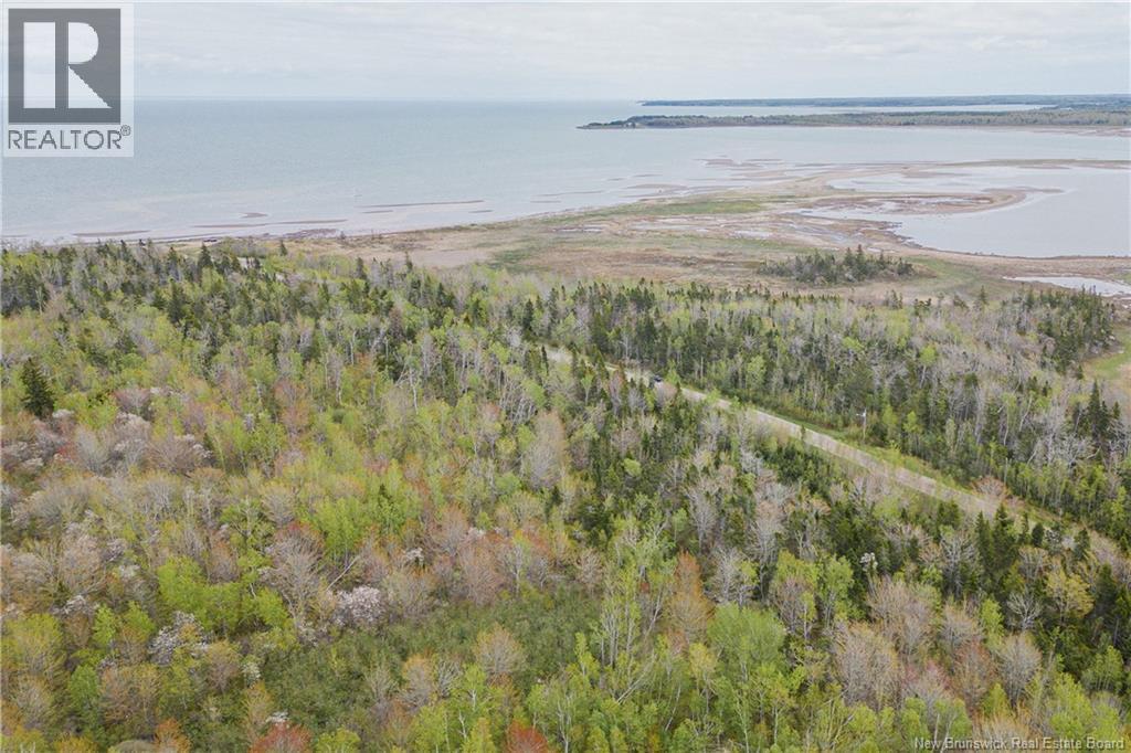 Lot Galmar, Petit-Cap, New Brunswick  E4N 2G6 - Photo 4 - NB133389