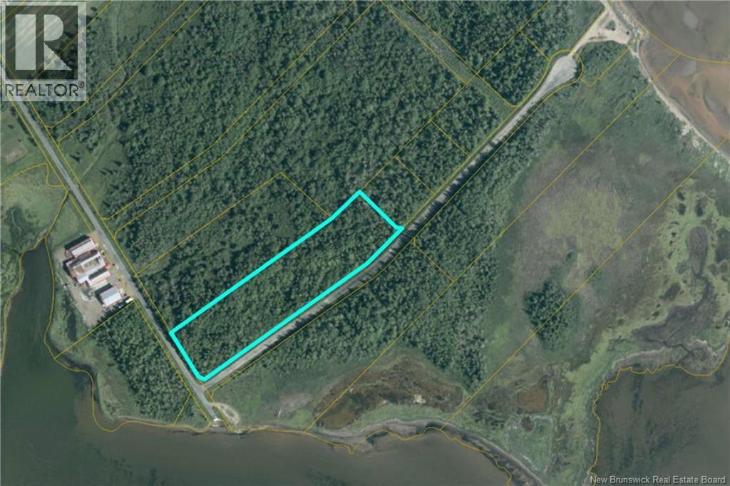 Lot Galmar, Petit-Cap, New Brunswick  E4N 2G6 - Photo 9 - NB133389