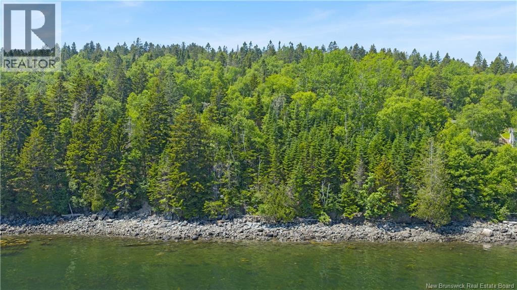 Lot Berry Point Road, Bocabec, New Brunswick  E5B 3P3 - Photo 18 - NB133495