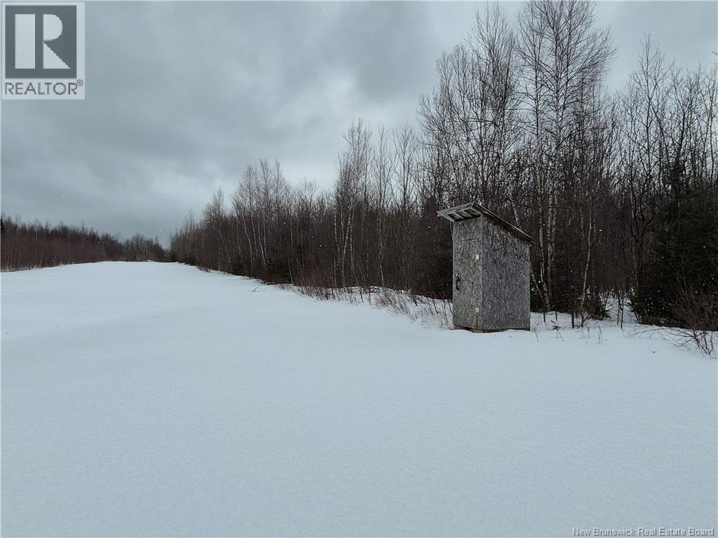000 Kingsley Road, Estey's Bridge, New Brunswick  E3A 6G2 - Photo 22 - NB133497