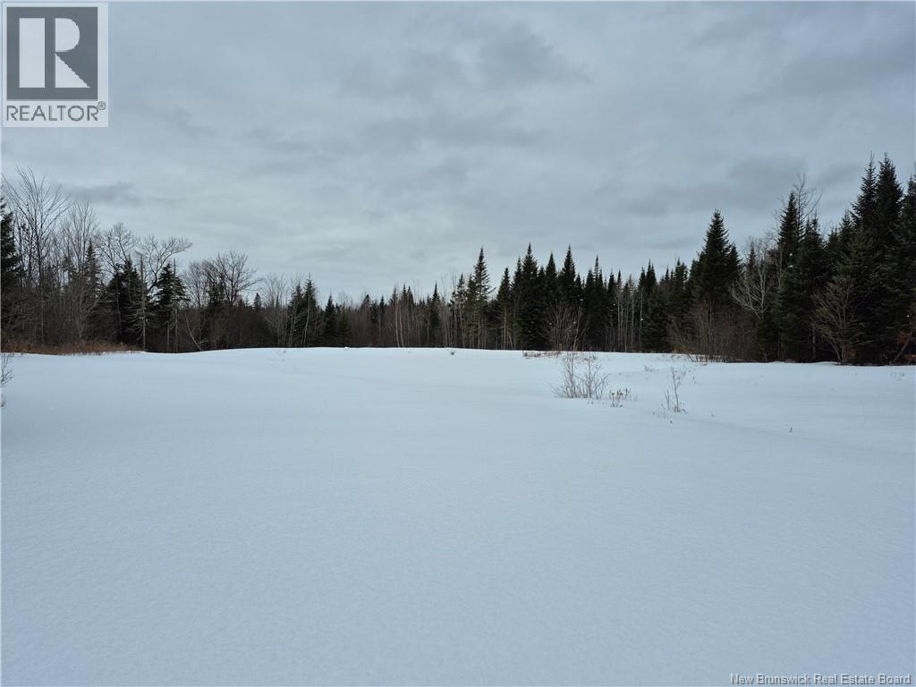 000 Kingsley Road, Estey's Bridge, New Brunswick  E3A 6G2 - Photo 48 - NB133497
