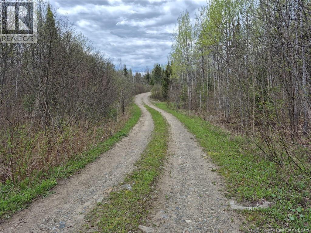 000 Kingsley Road, Estey's Bridge, New Brunswick E3A 6G2 - Photo 11 - NB133520