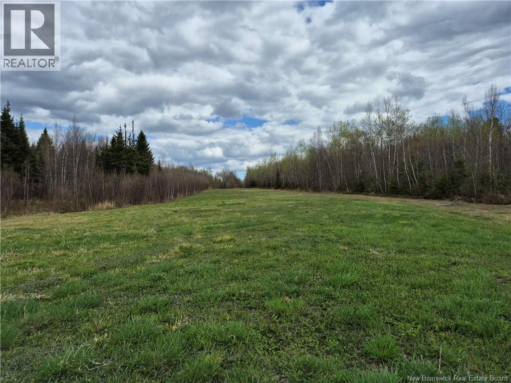 000 Kingsley Road, Estey's Bridge, New Brunswick E3A 6G2 - Photo 15 - NB133520