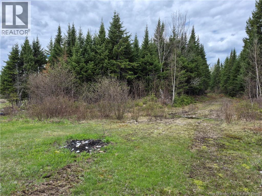 000 Kingsley Road, Estey's Bridge, New Brunswick E3A 6G2 - Photo 18 - NB133520