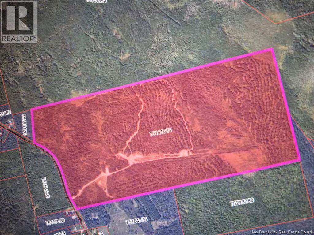 000 Kingsley Road, Estey's Bridge, New Brunswick E3A 6G2 - Photo 2 - NB133520