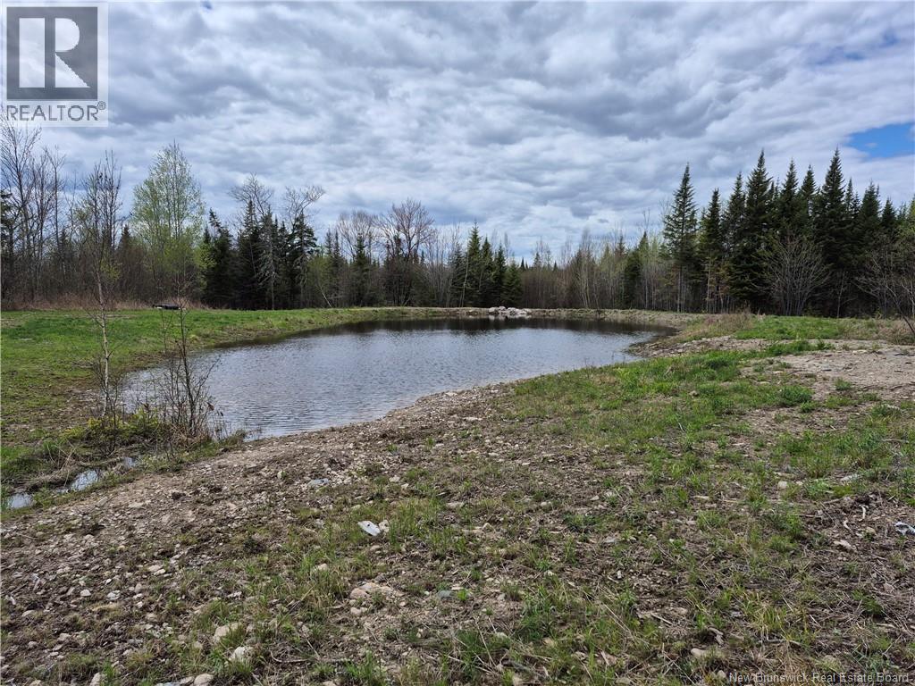000 Kingsley Road, Estey's Bridge, New Brunswick E3A 6G2 - Photo 20 - NB133520