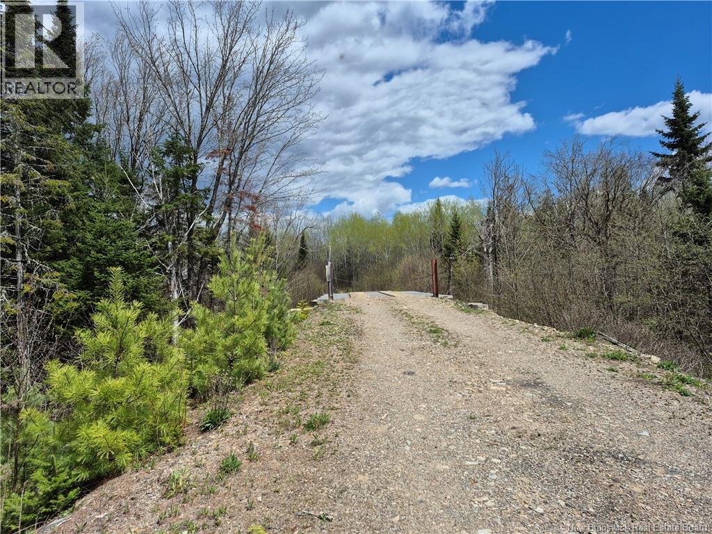 000 Kingsley Road, Estey's Bridge, New Brunswick E3A 6G2 - Photo 21 - NB133520