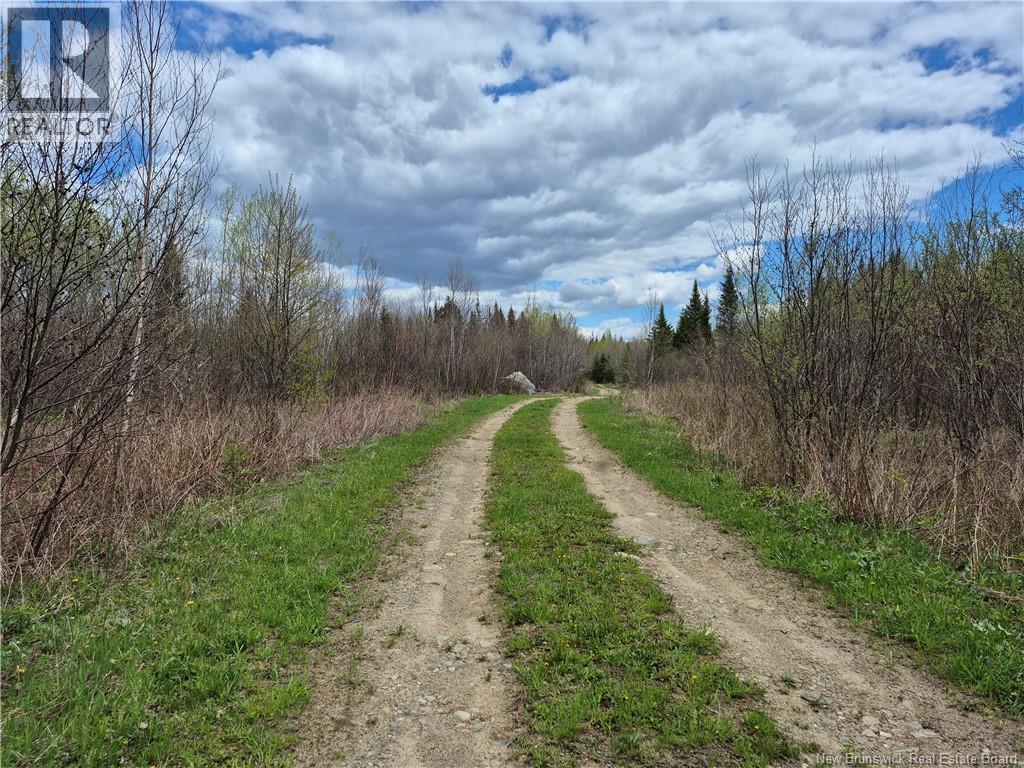 000 Kingsley Road, Estey's Bridge, New Brunswick E3A 6G2 - Photo 22 - NB133520