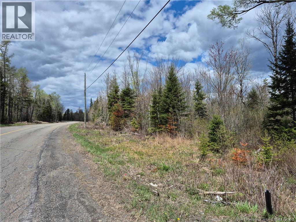 000 Kingsley Road, Estey's Bridge, New Brunswick E3A 6G2 - Photo 32 - NB133520