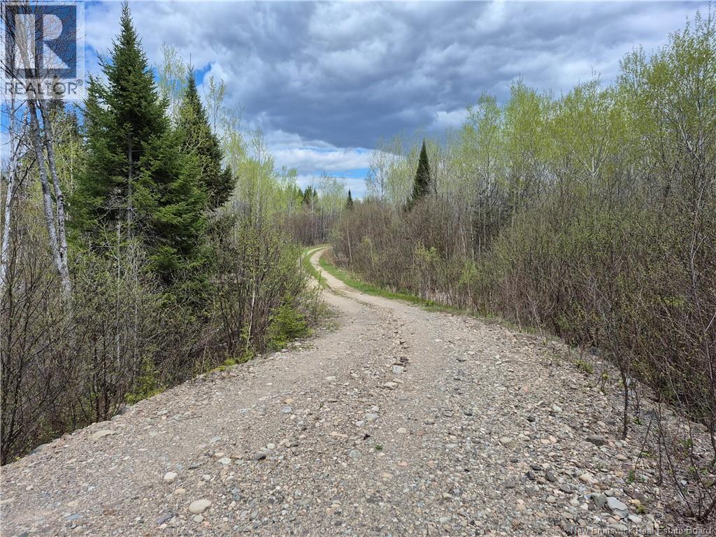 000 Kingsley Road, Estey's Bridge, New Brunswick E3A 6G2 - Photo 33 - NB133520