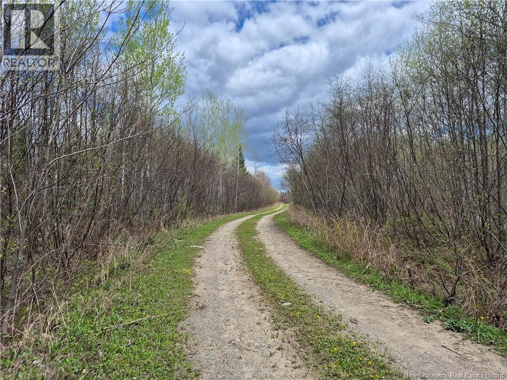 000 Kingsley Road, Estey's Bridge, New Brunswick E3A 6G2 - Photo 4 - NB133520