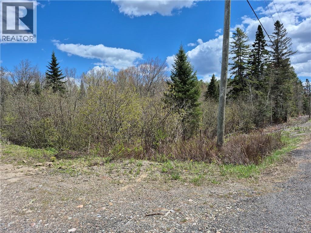 000 Kingsley Road, Estey's Bridge, New Brunswick E3A 6G2 - Photo 5 - NB133520