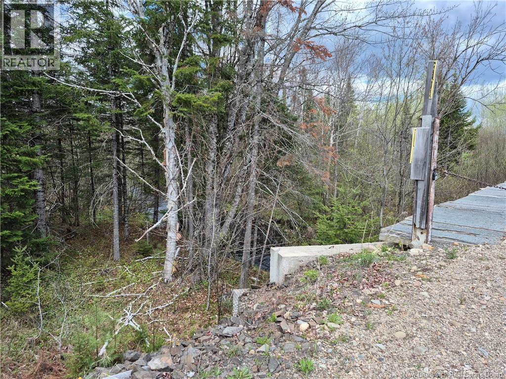 000 Kingsley Road, Estey's Bridge, New Brunswick E3A 6G2 - Photo 6 - NB133520