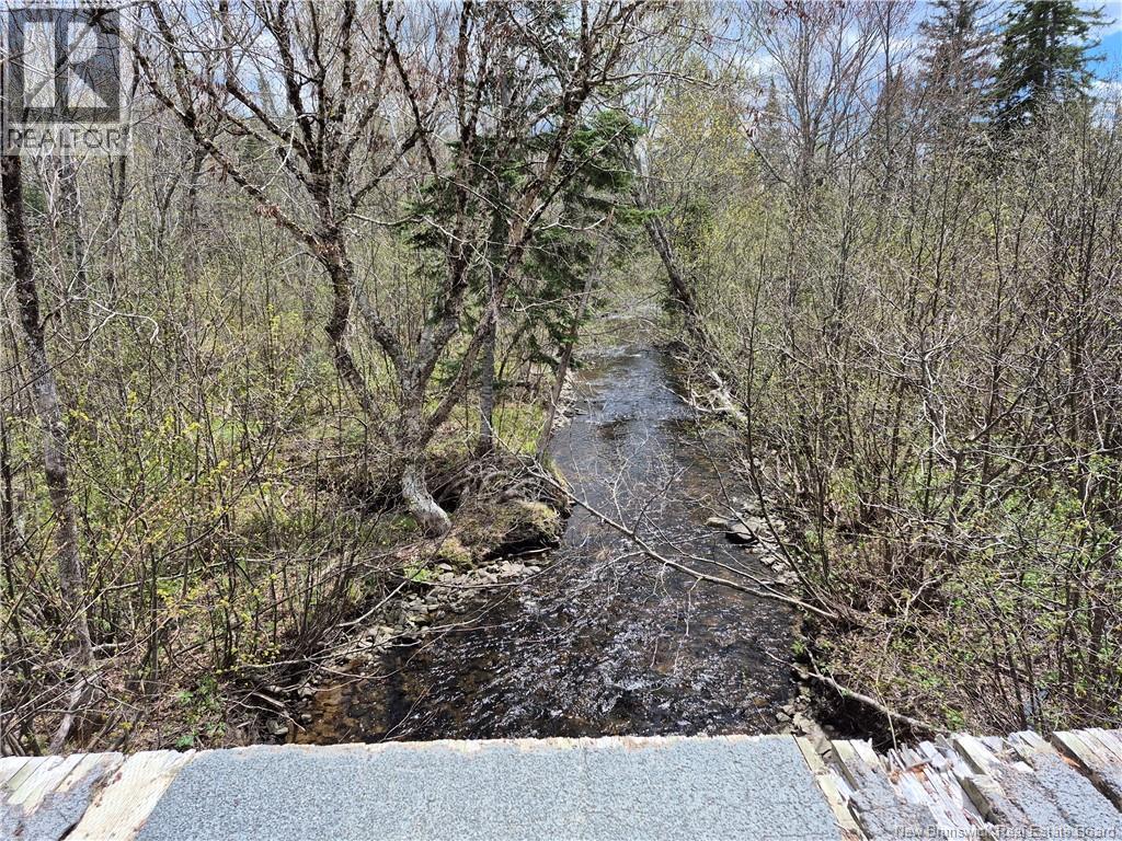 000 Kingsley Road, Estey's Bridge, New Brunswick E3A 6G2 - Photo 8 - NB133520