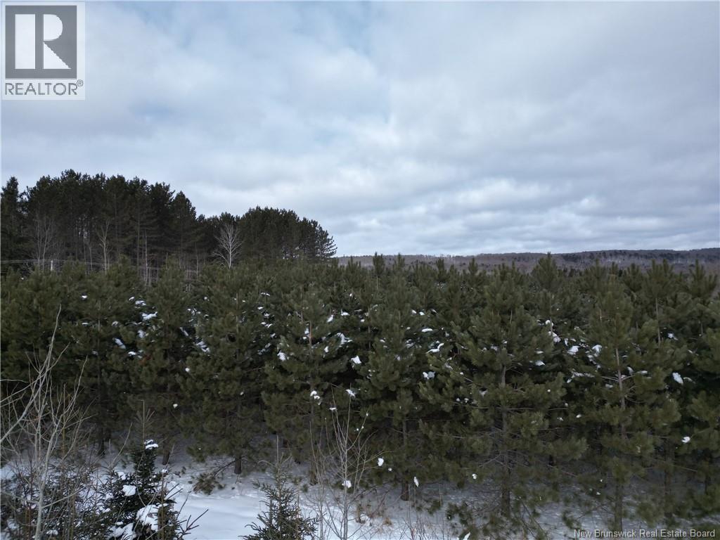 Route 385, Maple View, New Brunswick E7G 4L2 - Photo 21 - NB133371