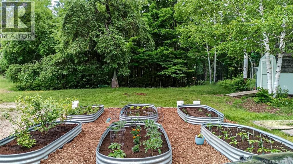 316 Halcomb Road, Halcomb, New Brunswick  E9E 1W7 - Photo 3 - NB133524