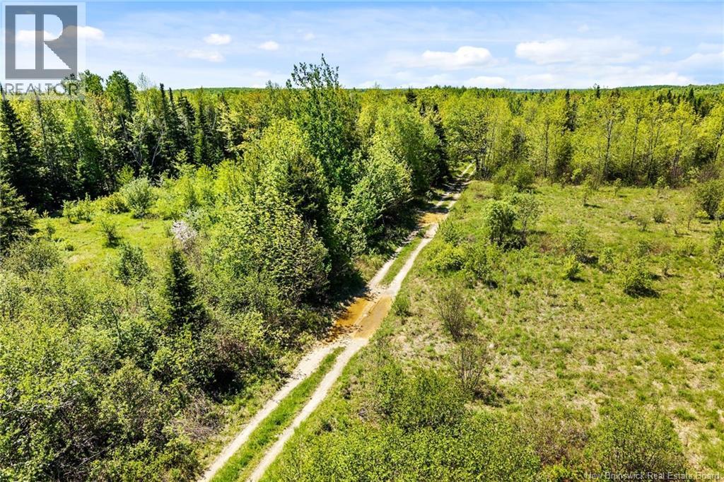 Lot Route 620, Tay Creek, New Brunswick  O0O 0O0 - Photo 12 - NB133525