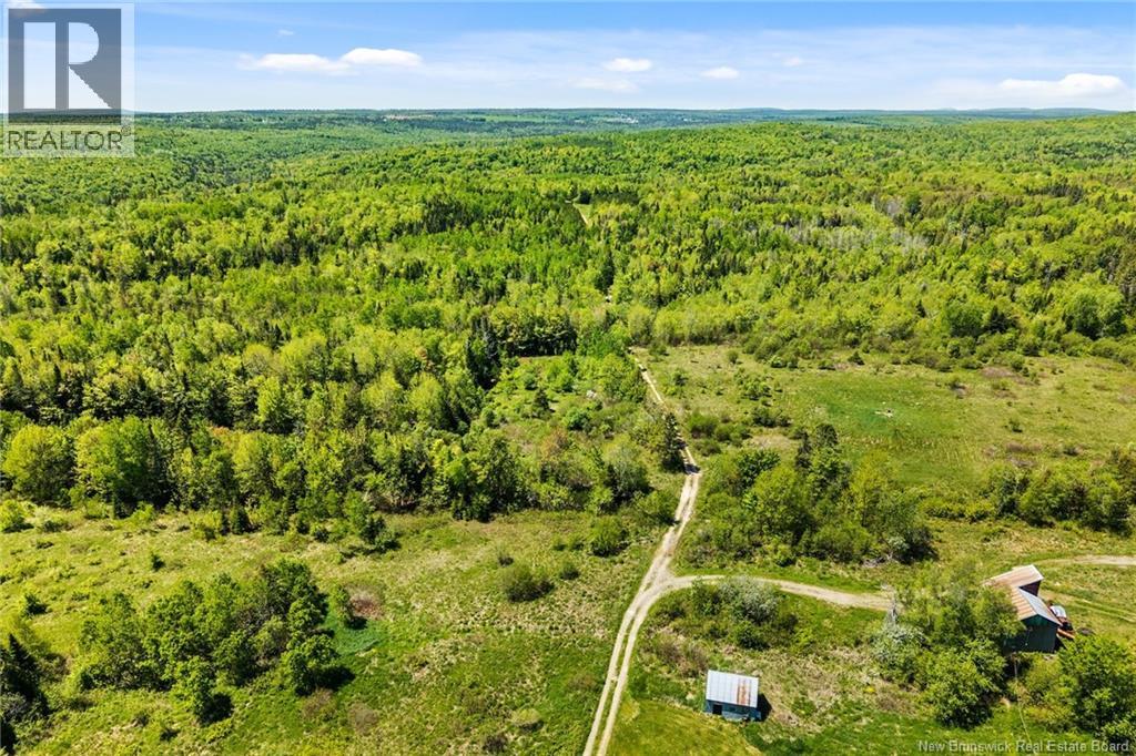 Lot Route 620, Tay Creek, New Brunswick  O0O 0O0 - Photo 13 - NB133525
